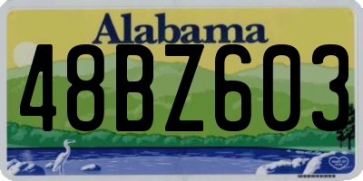 AL license plate 48BZ603
