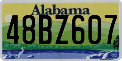 AL license plate 48BZ607