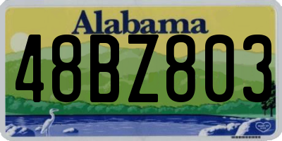 AL license plate 48BZ803