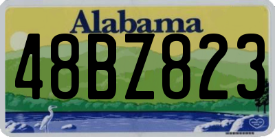 AL license plate 48BZ823