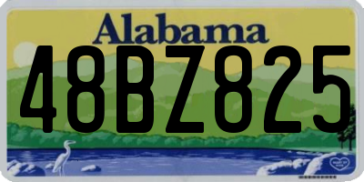 AL license plate 48BZ825