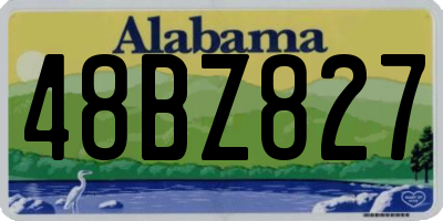 AL license plate 48BZ827