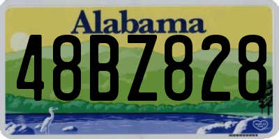 AL license plate 48BZ828