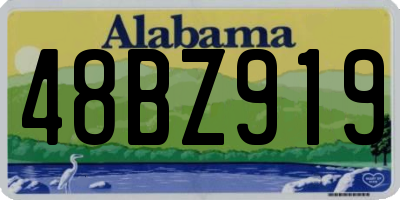 AL license plate 48BZ919