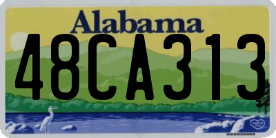 AL license plate 48CA313