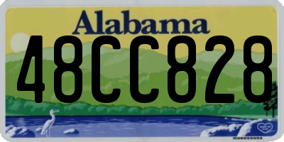AL license plate 48CC828
