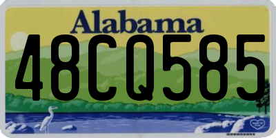 AL license plate 48CQ585