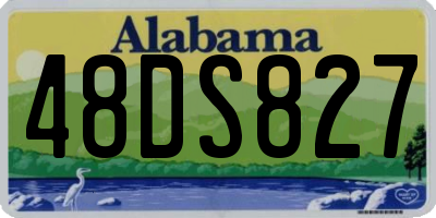 AL license plate 48DS827