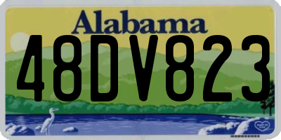 AL license plate 48DV823