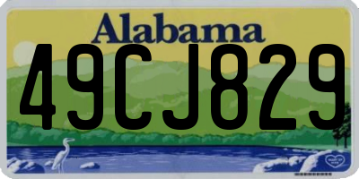 AL license plate 49CJ829