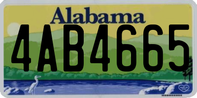 AL license plate 4AB4665