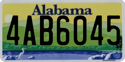 AL license plate 4AB6045