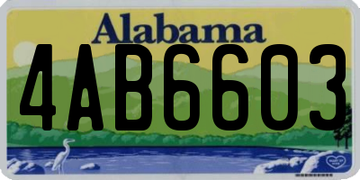 AL license plate 4AB6603