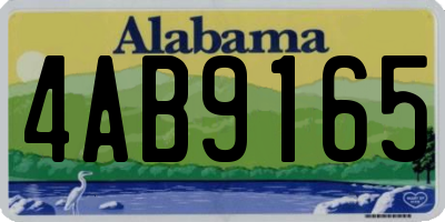 AL license plate 4AB9165