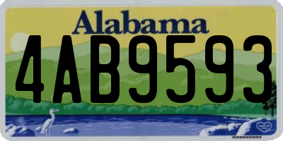 AL license plate 4AB9593