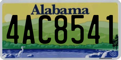 AL license plate 4AC8541