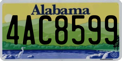 AL license plate 4AC8599