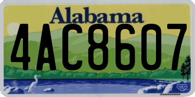 AL license plate 4AC8607