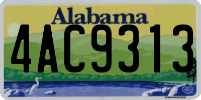 AL license plate 4AC9313