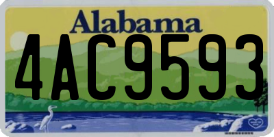 AL license plate 4AC9593