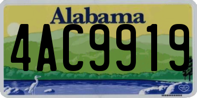 AL license plate 4AC9919