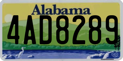 AL license plate 4AD8289