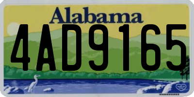 AL license plate 4AD9165
