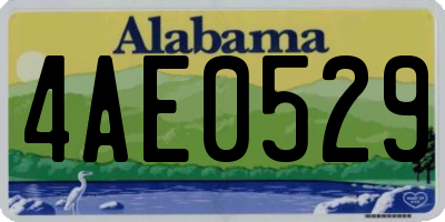 AL license plate 4AE0529