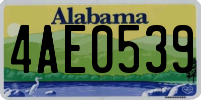 AL license plate 4AE0539