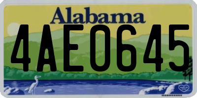 AL license plate 4AE0645