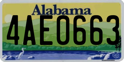 AL license plate 4AE0663