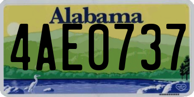 AL license plate 4AE0737