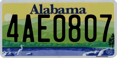 AL license plate 4AE0807