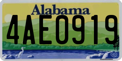AL license plate 4AE0919