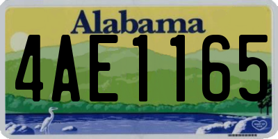 AL license plate 4AE1165