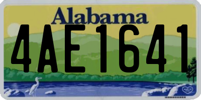 AL license plate 4AE1641
