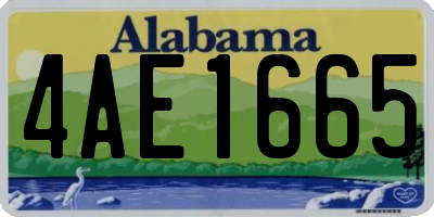 AL license plate 4AE1665