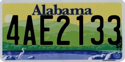 AL license plate 4AE2133