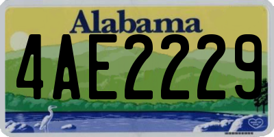 AL license plate 4AE2229