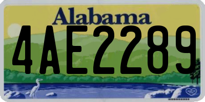 AL license plate 4AE2289