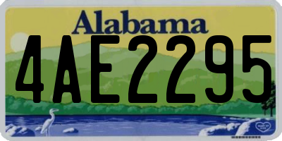AL license plate 4AE2295