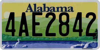 AL license plate 4AE2842