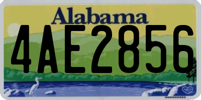AL license plate 4AE2856