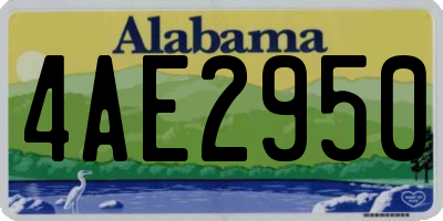 AL license plate 4AE2950
