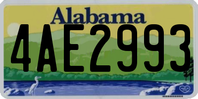 AL license plate 4AE2993