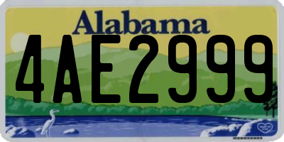 AL license plate 4AE2999