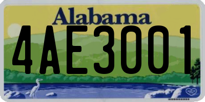AL license plate 4AE3001