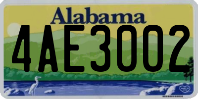 AL license plate 4AE3002