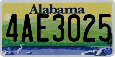 AL license plate 4AE3025