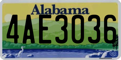 AL license plate 4AE3036